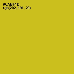 #CABF1D - Gold Tips Color Image