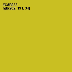 #CABF22 - Earls Green Color Image