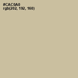 #CAC0A0 - Chino Color Image