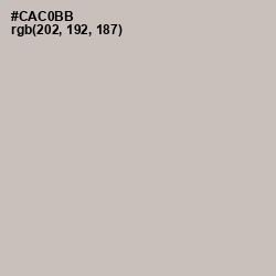 #CAC0BB - Silver Rust Color Image