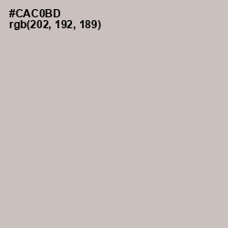 #CAC0BD - Silver Rust Color Image