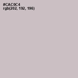 #CAC0C4 - Silver Color Image