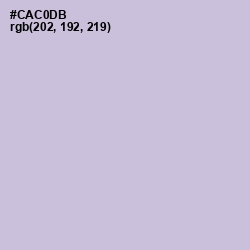 #CAC0DB - Ghost Color Image