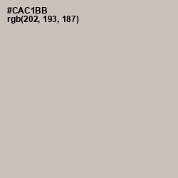 #CAC1BB - Silver Rust Color Image