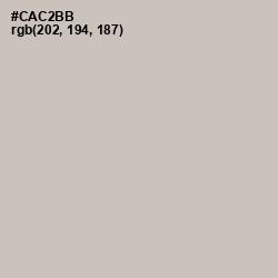 #CAC2BB - Silver Rust Color Image