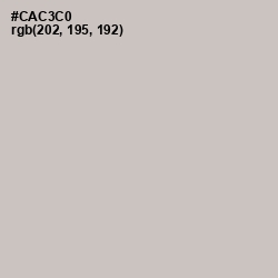 #CAC3C0 - Silver Color Image