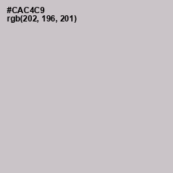 #CAC4C9 - Pumice Color Image