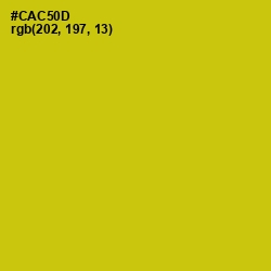 #CAC50D - Bird Flower Color Image