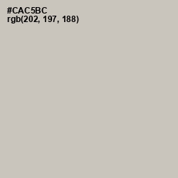 #CAC5BC - Silver Rust Color Image