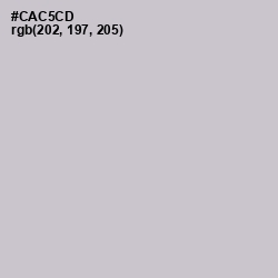 #CAC5CD - Pumice Color Image