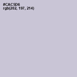 #CAC5D6 - Ghost Color Image