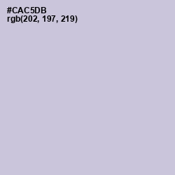 #CAC5DB - Ghost Color Image