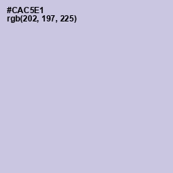 #CAC5E1 - Periwinkle Gray Color Image