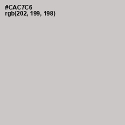 #CAC7C6 - Pumice Color Image