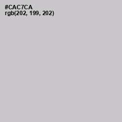 #CAC7CA - Pumice Color Image