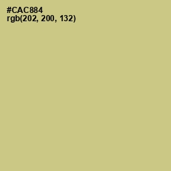 #CAC884 - Pine Glade Color Image