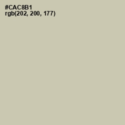 #CAC8B1 - Foggy Gray Color Image