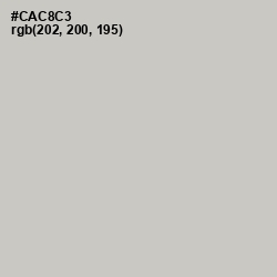 #CAC8C3 - Pumice Color Image