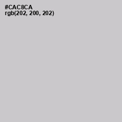 #CAC8CA - Pumice Color Image