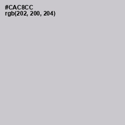 #CAC8CC - Pumice Color Image