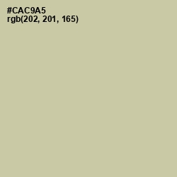 #CAC9A5 - Thistle Green Color Image