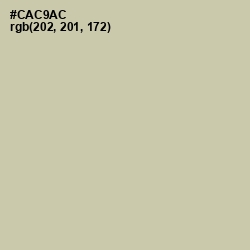 #CAC9AC - Thistle Green Color Image