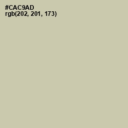 #CAC9AD - Thistle Green Color Image