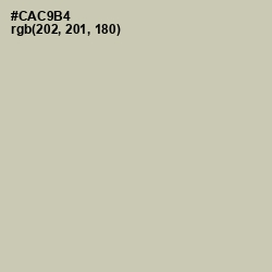 #CAC9B4 - Foggy Gray Color Image