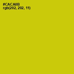 #CACA0B - Bird Flower Color Image