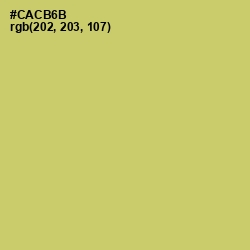 #CACB6B - Tacha Color Image