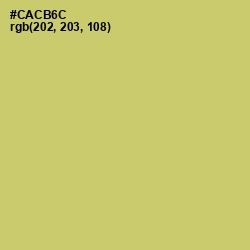 #CACB6C - Tacha Color Image