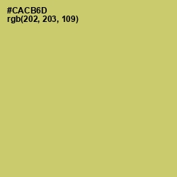 #CACB6D - Tacha Color Image