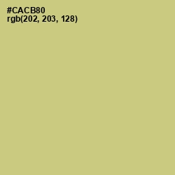 #CACB80 - Pine Glade Color Image