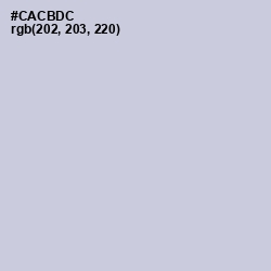 #CACBDC - Ghost Color Image