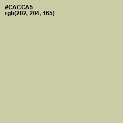 #CACCA5 - Thistle Green Color Image