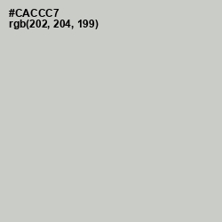 #CACCC7 - Pumice Color Image