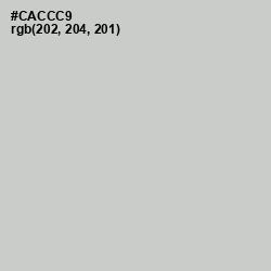 #CACCC9 - Pumice Color Image