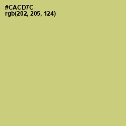 #CACD7C - Chenin Color Image