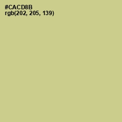 #CACD8B - Pine Glade Color Image