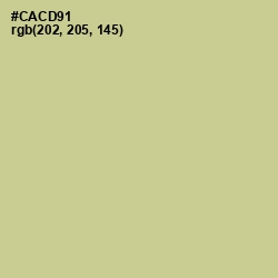 #CACD91 - Pine Glade Color Image