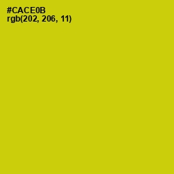 #CACE0B - Bird Flower Color Image