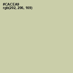 #CACEA9 - Thistle Green Color Image