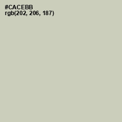 #CACEBB - Foggy Gray Color Image