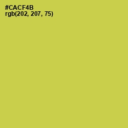 #CACF4B - Wattle Color Image