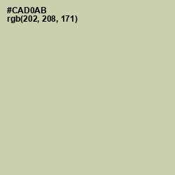 #CAD0AB - Green Mist Color Image