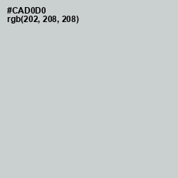 #CAD0D0 - Tiara Color Image