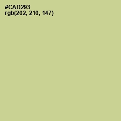 #CAD293 - Pine Glade Color Image