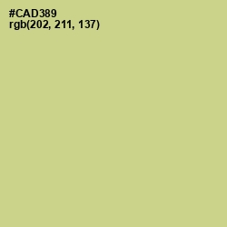#CAD389 - Pine Glade Color Image