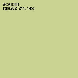 #CAD391 - Pine Glade Color Image