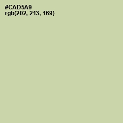 #CAD5A9 - Green Mist Color Image
